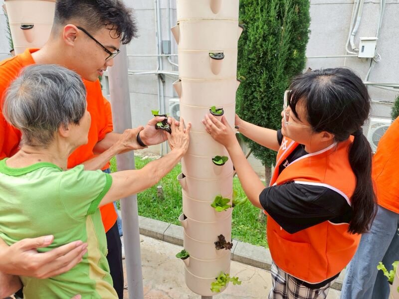 長輩親手栽種水耕蔬菜，包括放置幼苗和添加營養液，21天快速收成可給予心靈療癒與成就感。(圖片來源/謙和賀日照中心)
