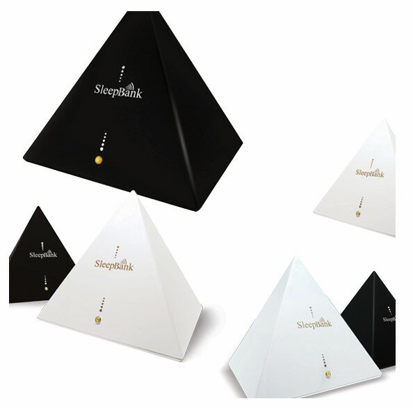 睡眠撲滿  勝得棻