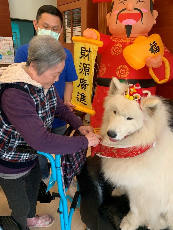   寵物輔療是長輩熱愛的活動。(圖片來源/臺北市私立貴族老人長期照顧中心)