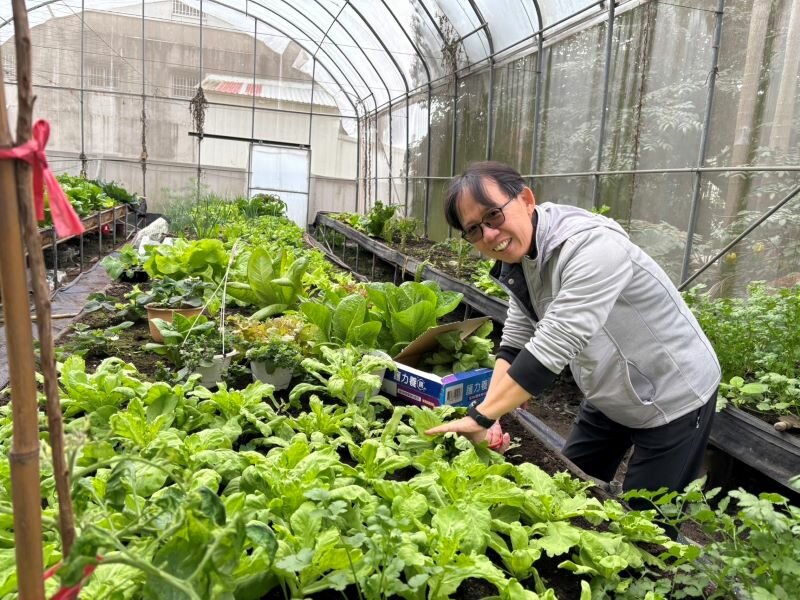 提前練習退休生活，可先從買個盆子在陽台嘗試開始種菜。(圖片來源/林金立)