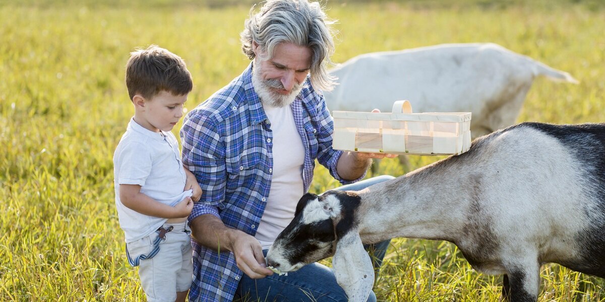 【一週時事】長照3.0出院中介納入住宿機構、居盟：給支付入法解缺工（2025.12.22-2025.12.26）