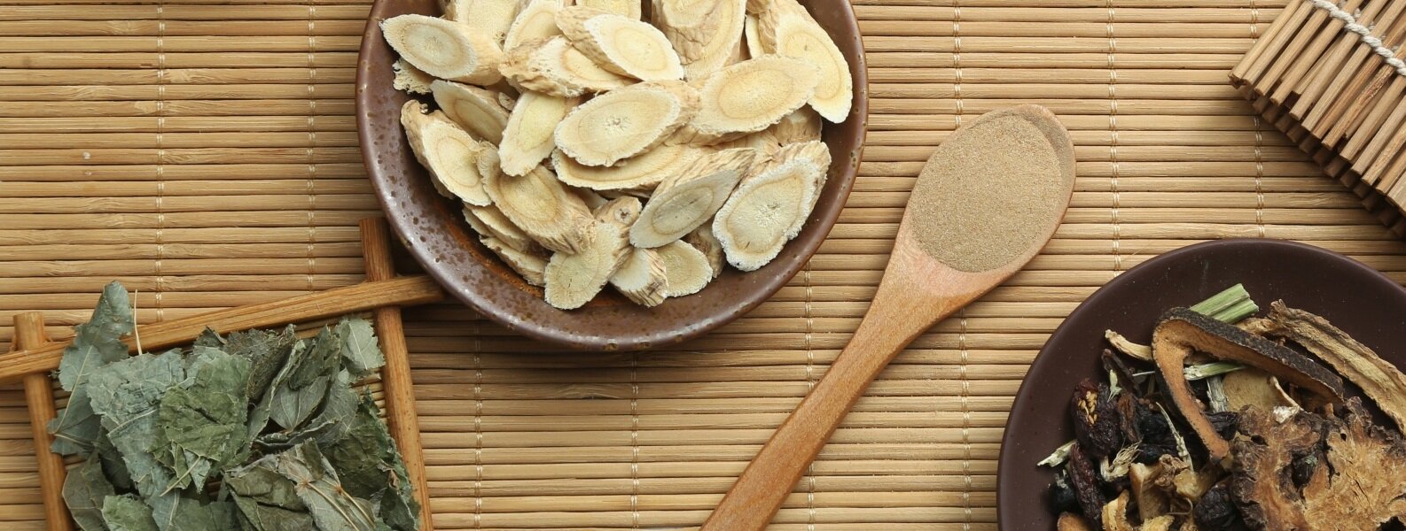 【一週時事】苗栗縣府增設長照處、高雄居家長照機構涉詐送辦（2025.12.15-2025.12.19）