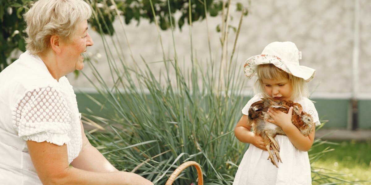 【一週時事】在宅急症照護增提早出院模式、越南家庭看護開放直聘（2026.04.06-2026.04.10）
